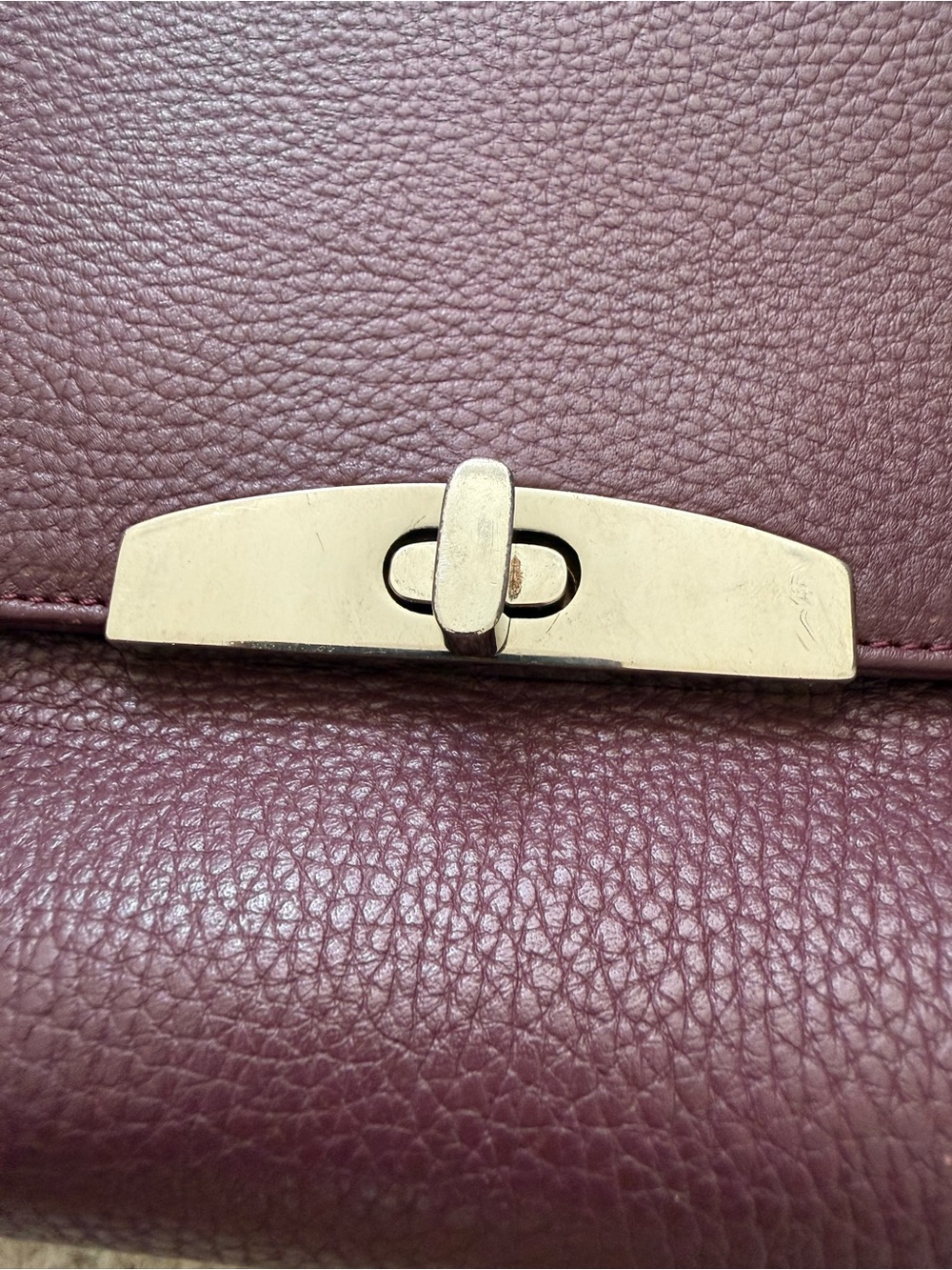 Cuyana Burgundy Leather Crossbody Bag - Picture 4 of 12